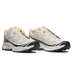 Кросівки трекінгові Salomon Xt-6 | Rainy Day / Black 4