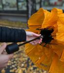 Парасолька Sea to Summit Ultra-Sil Trekking Umbrella, 96.5 х 24.1 см, Black 4