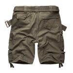 Шорти "SURPLUS DIVISION SHORTS" Olive 6
