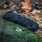 Шнур Lifesystems 550 Paracord 4 mm, Чорний 3 Шнур Lifesystems 550 Paracord 4 mm, Чорний 3