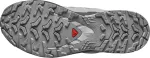 Кросівки Salomon XA PRO 3D V9 GTX, Alloy Castlerock Lunar Rock 5 Кросівки Salomon XA PRO 3D V9 GTX, Alloy Castlerock Lunar Rock 5