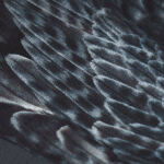 Футболка з малюнком "Falcon" Graphite 6 Футболка з малюнком "Falcon" Graphite 6