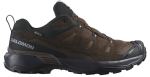 Кроссовки трейловые Salomon X Ultra 360 LTR Gore-Tex — Коричневый