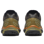 Кросівки Salomon Xt-6 Gore-Tex® | Delicioso / Tea 5