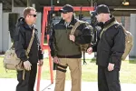 Штани тактичні "5.11 Tactical Taclite Pro Pants" Storm 10