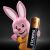 Лужні батарейки Duracell LR03 AAA 1.5V 2 шт. 3