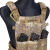 Плейт керрієр "BASE" Varan camo Pat.31143/31140 4