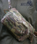 Сумка поясна Recon Malva. Cordura 500D. Мультикам 3