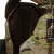 Плитоноска жіноча Warmor gen.3 FL (for Ladies). З підсумками під магазини АК і швидким бічним і верхнім скиданням (без плит). Мультикам. 9