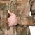 Куртка гірська літня "Mount Trac MK-2" Varan camo Pat.31143/31140 5