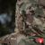 Куртка зимова M-Tac Alpha Gen.IV Primaloft, MC 4