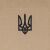 Футболка с рисунком "Тризуб Logo" Tan 499 4