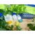 Мило для рук Sea to Summit Trek & Travel Pocket Hand Wash 2