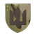 Шеврон Camotec ЗСУ Сухопутні війська (7*8) MC — Мультикам