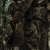 Баллистический шлем Sestan-Busch Helmet BK-ACH-HC койот. Размер XL 7