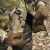Сорочка польова тропічна "ALTITUDE" MTP/MCU camo 18