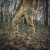 Штани M-Tac Soft Shell Winter. Мультикам 2