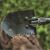 Складна лопата з піком AceCamp Folding Shovel 4