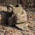 Комплект спорядження Command Guard Kit (на базі IBV, під плити 25×30 / 27×35 см). Мультикам 5