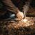 Сокира SOG Survival Hawk, Black 9
