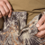 Шорти Ranger Twill(80/20) Татарське зілля 6