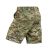 Шорти M-Tac Aggressor Short MC 4