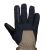 Рукавички чоловічі Black Diamond Cirque Gloves, Black/Walnut 3