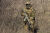 Костюм вологозахисний "PSWP" Varan camo Pat.31143/31140 8