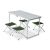 Набор раскладной мебели Pinguin Furniture Set, Green