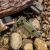 Розкладний ніж SOG Terminus XR G10, OD Green 10