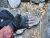 Перчатки женские Black Diamond Crag Half-Finger Gloves, Bordeaux 3