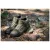 Кеди "5.11 Tactical NORRIS SNEAKER" RANGER GREEN 7