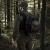 Тактический рюкзак DP20 на 20 л. Cordura 1000D. Крепление Molle. Мультикам черный 6