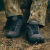 Черевики тактичні "LOWA Maddox GTX LO TF" Black 3