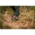 Ботинки мужские Asolo X-Hunt Forest GV MM, Military Green 6