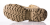 Ботинки мужские Magnum Cobra 8.0 Desert CE, Desert 3