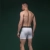 Трусы мужские "Soldier's Boxer" (2 шт.). Материал Charged Cotton. Белый 3