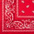 Бандана бавовняна Sturm Mil-Tec "Western Bandana" Червоний 3
