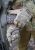 Рукавички польові демісезонні "MPG" (Mount Patrol Gloves) MTP/MCU camo 7