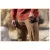 Штани тактичні "5.11 APEX PANTS" Battle Brown 25