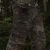 Платформа на стегно (L/XL). Cordura 1000. Кріплення Molle. Мультикам 2