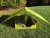 Москітна сітка Sea to Summit Escapist Ultra-Mesh Inner Bug Tent – Зелена 4