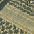 Шарф шемаг M-Tac, Olive/Khaki 2