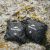 Чохол для рюкзака Naturehike CNK2450PJ010, M, чорний 6