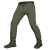 Штаны Lizard DWB Олива