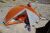 Надувний килимок Sea to Summit UltraLight Insulated Mat 2020, 183х55х5 см, Orange 23