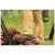 Черевики тактичні "5.11 Tactical A/T 6' Boot" Dark Coyote 11