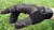 Рукавички тактичні "5.11 Tac K9 ™ Canine and Rope Handler Glove" Black 9