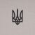 Футболка з малюнком "Тризуб Logo" Iron Grey 3