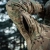 Куртка зимняя M-Tac Alpha Gen.IV Pro Primaloft. Мультикам 5
